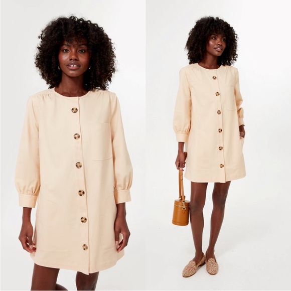 Tuckernuck Tan Stone Blake Long Sleeve Button Down Minimalist Mini Dress - Picture 1 of 6